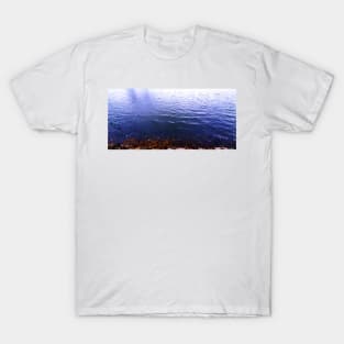 rock pool T-Shirt